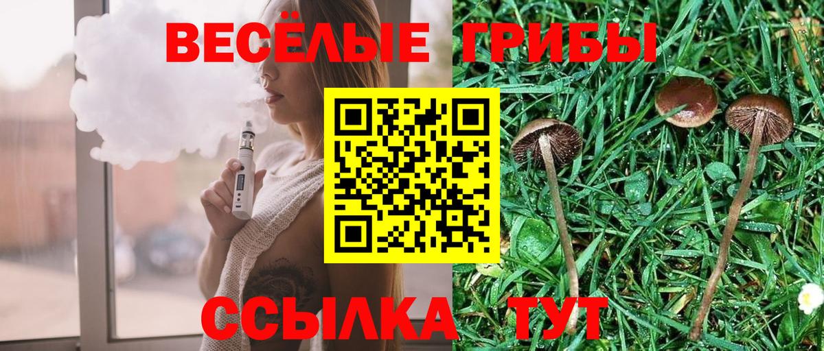 Псилоцибиновые грибы Cubensis  Вход с VPN  Карпинск 